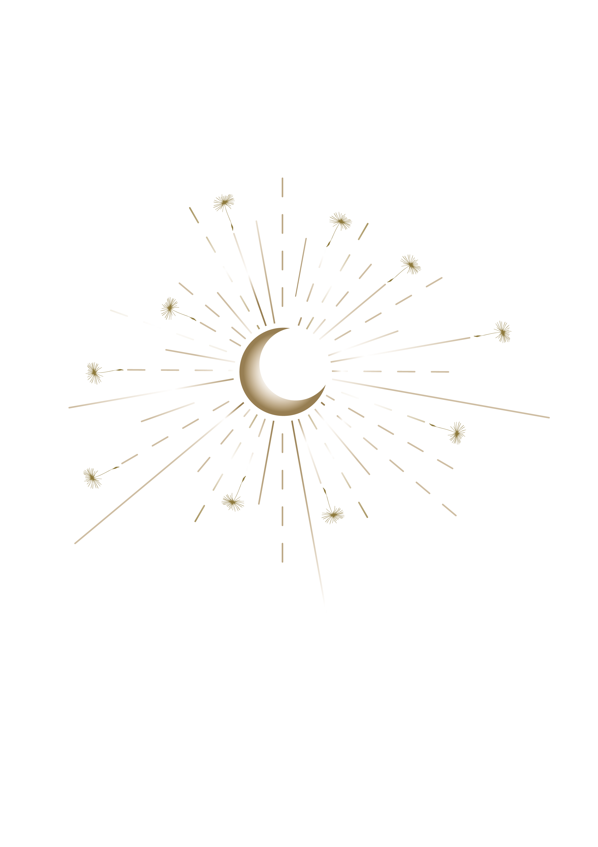 MiSulis Logo